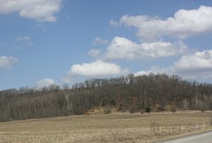 Silver Mound Archeological District Mound