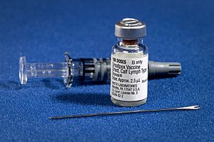 Smallpox vaccine