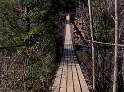 Swingbridge-fall-creek-falls-tn1