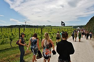 Toast Martinborough 2011 (6396582441)