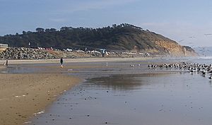 TorreyPinesBeach