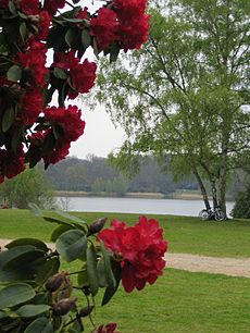 ValleyGardensWindsorGreatPark