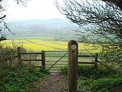 Wessexridgeway1