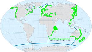 World map ocean genus-Zostera.jpg