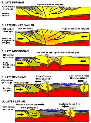 Appalachian orogeny