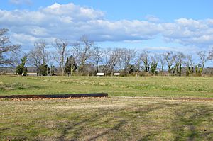 Arlington Archeological Site overview