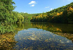 Autumn Marian Valley