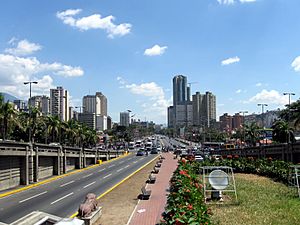 Av Bolivar caracas2.jpg