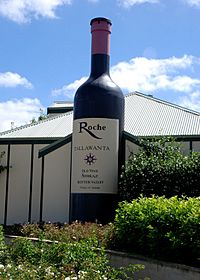 Big WineBottle Pokolbin.jpg