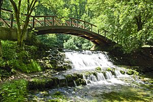 Bridge on Vrelo Bosne