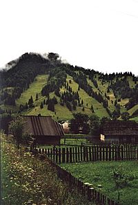 Bucovina1.cristibur