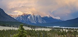 Carcross Desert and Nares Lake