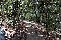 Castle Rock State Park 3