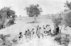 Chunuk Bair POWs.jpg