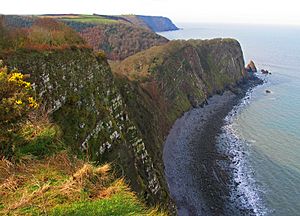 Cliffs Clovelly Coast West