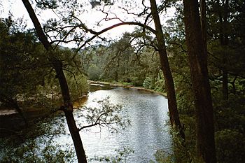 Deua River.jpg