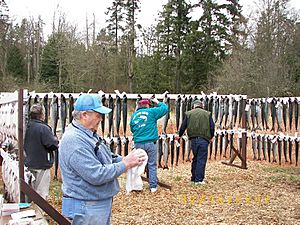 DiscoveryBaySalmonDerby2007