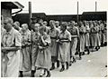 Female prisoners at Birkenau