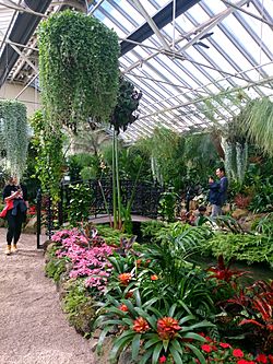 Fitzroy Conservatory