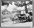 Goat wagon peddler LCCN2001705689