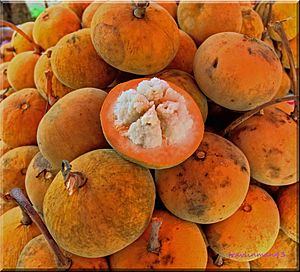 Gratorn กระท้อน fruit, Santol