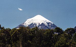 Lanin1997