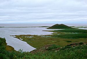 Mackenzie Delta, Pingo, Tuktoyaktuk