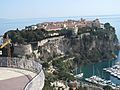 Monaco from the bottom of the exotic garden