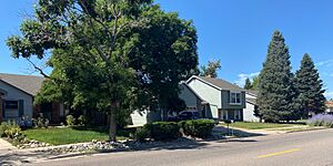 A long, residential street, showing grey and blue colored houses with green trees in their yards. The sky is bright blue. There’s a lilac bush in the distance.