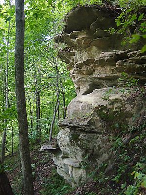 Mount Pisgah sandstone