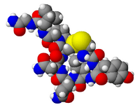 Oxytocin3d