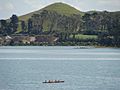 Pinnacle Hill on Puketutu Island