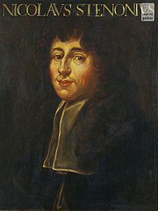 Portrait of Nicolas Stenonus