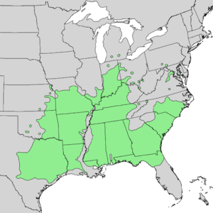 Quercus shumardii range map 1.png