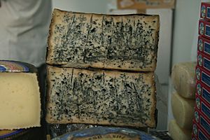 Queso de Valdeón (León).jpg