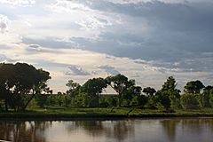 Rio Grande River and Bosque