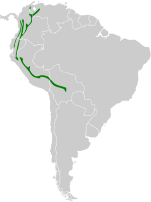 Map of South America, with green shading indicating that the species is present in the Andes