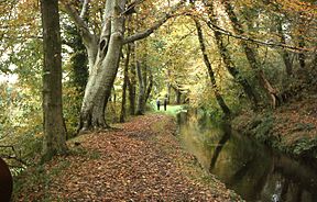 Tavistock Canal 1.JPG