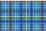 Texas Bluebonnet Tartan.svg