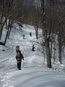 Thunderbolt Skiers