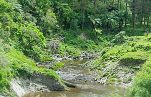 The Uturi Stream, which runs next to the township