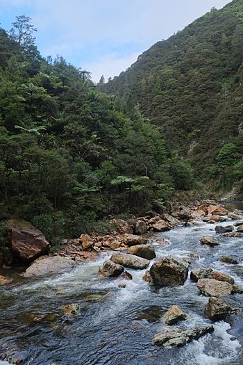 Waitawheta River.jpg