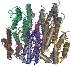 1RH2 Recombinant Human Interferon-Alpha 2b-01