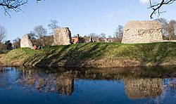 Berkhamsted Castle Jan 2007.jpg