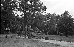 Bundesarchiv Bild 101II-M2KBK-772-24, Arnheim, deutsches 2 cm Flakgeschütz