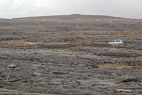 Burren 0513.JPG