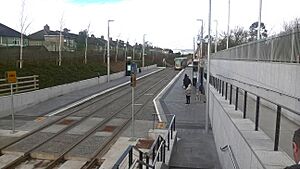 Cabra Luas Stop (2019)