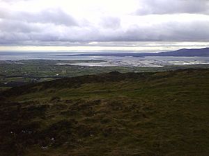 Carlingford