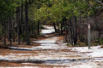 Carolinabeachstateparkhikingtrail