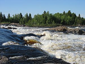 Chutes à Michel